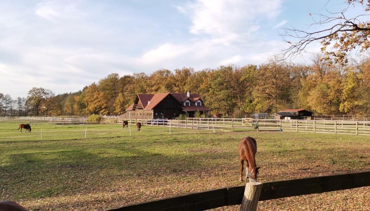 Stajnia Karczów Karczow Exterior foto