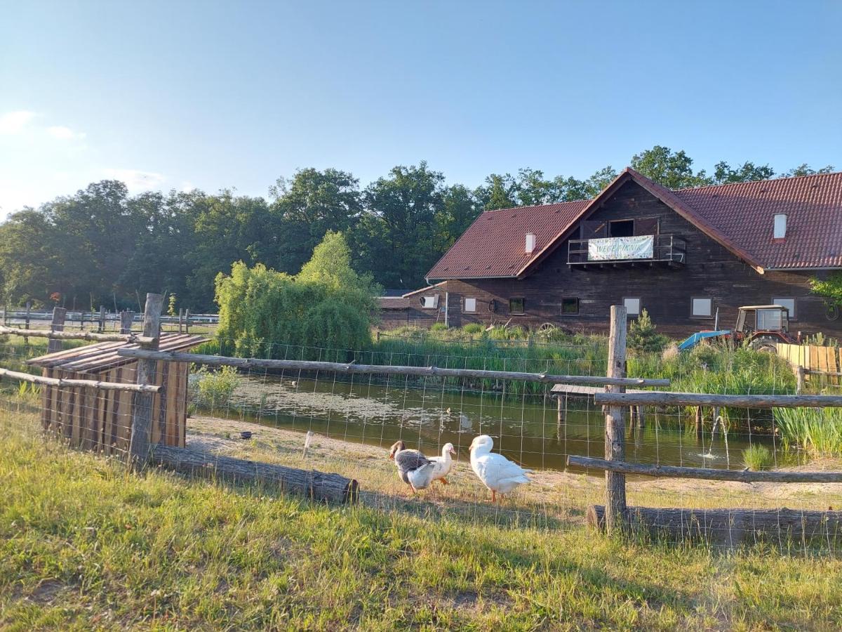 Stajnia Karczów Karczow Exterior foto